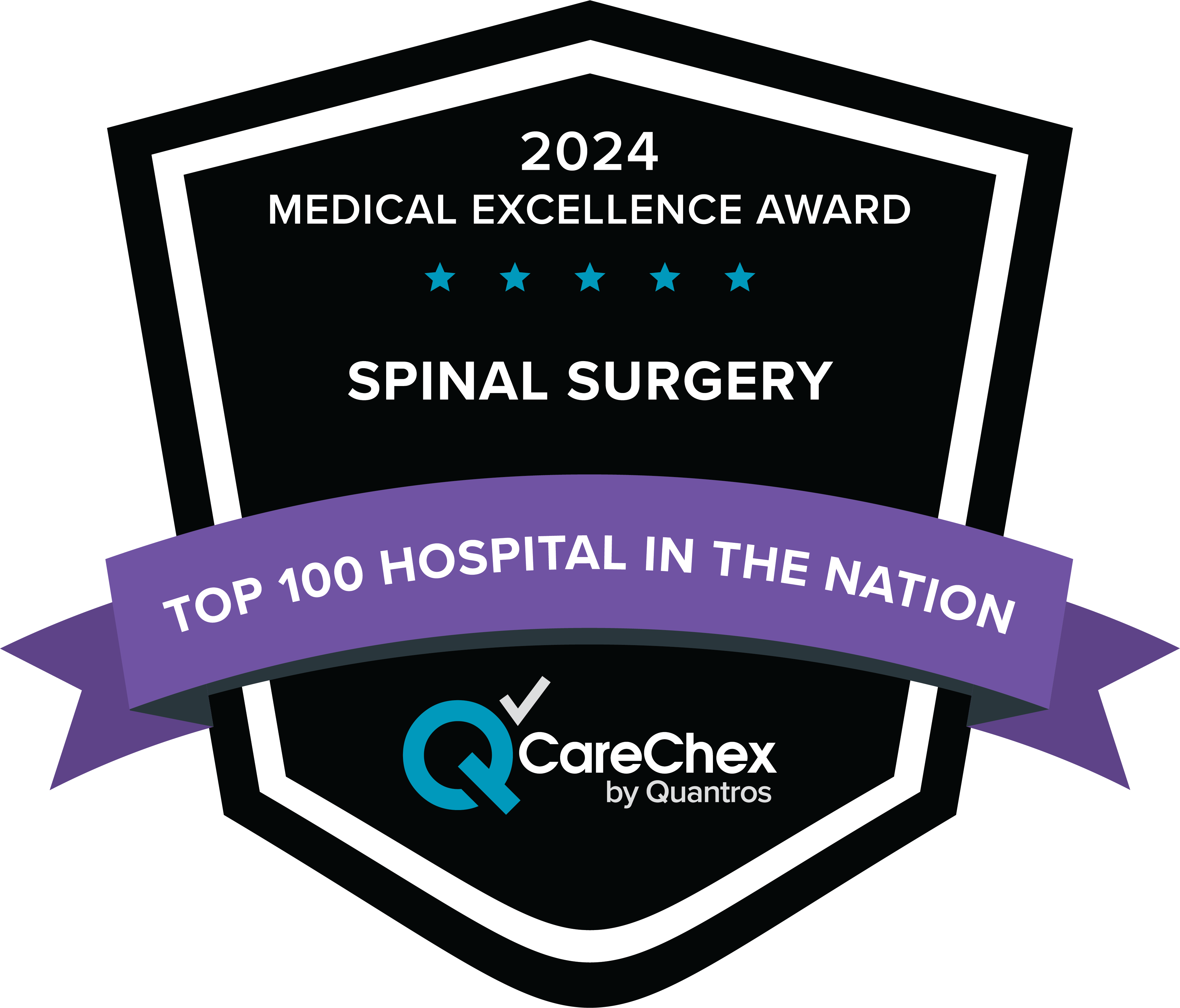 2024 Medical Excellence Award Spinal Surgery Top 100 Hospital in the Nation by CareChex award icon
